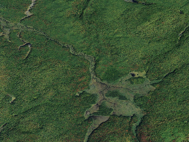 Aerial image of Oswegatchie River Campsite 4 (Five Ponds Wilderness)