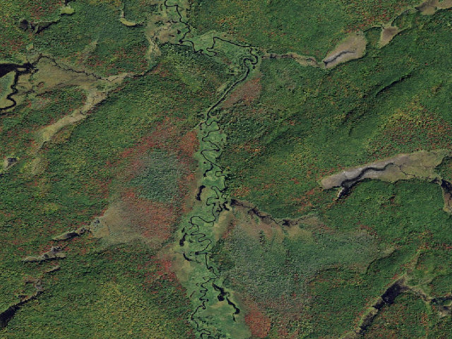 Aerial image of Oswegatchie River Campsite 42 (Five Ponds Wilderness)