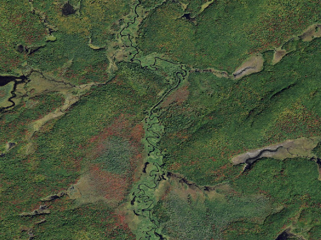Aerial image of Oswegatchie River Campsite 43 (Five Ponds Wilderness)