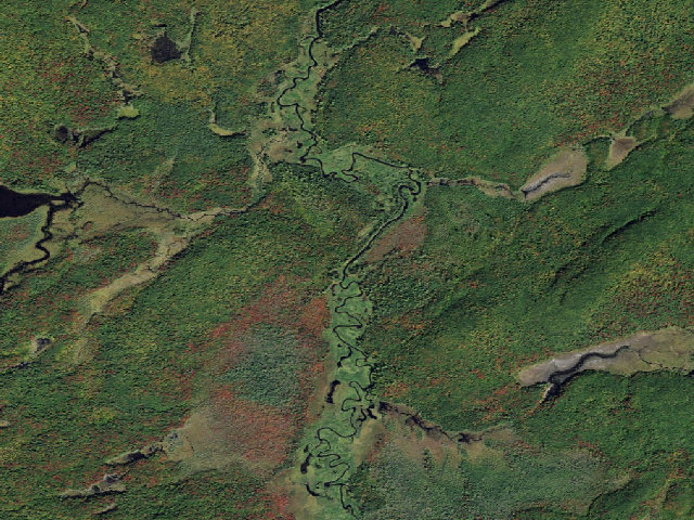 Aerial image of Oswegatchie River Campsite 44 (Five Ponds Wilderness)