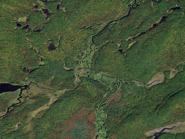 Aerial image of Oswegatchie River Campsite 46 (Five Ponds Wilderness)