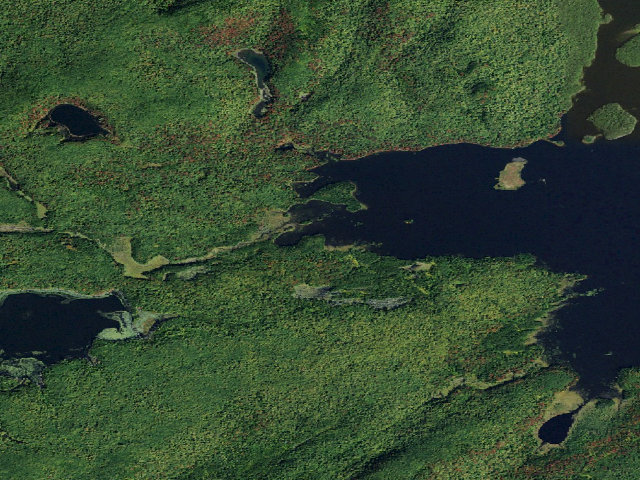 Aerial image of Oswegatchie River Canoe Carry Campsite 1 (Five Ponds Wilderness)