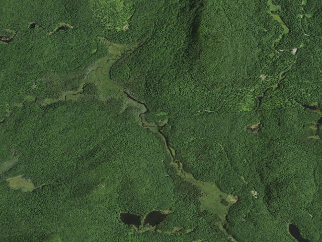 Aerial image of Otterbrook Road #11 Primitive Campsite (Horseshoe Lake Wild Forest)