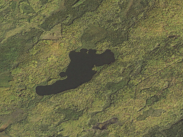 Aerial image of Otto Lake Site 1