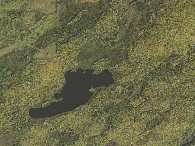 Aerial image of Otto Lake Site 2