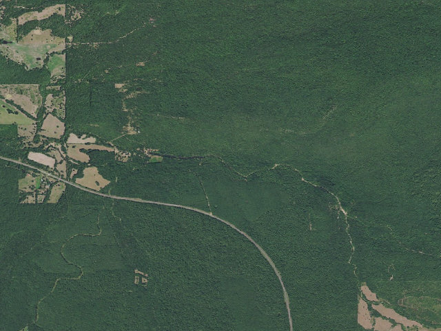Aerial image of Ouachita WMA (Le Flore Unit) primitive camp #1