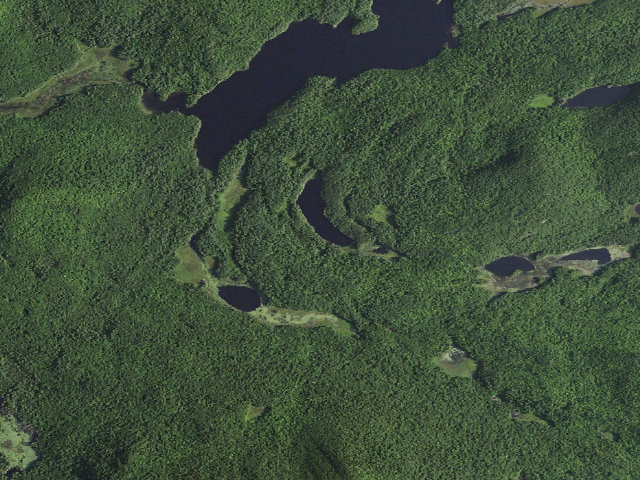 Aerial image of OXSHOE POND PRIMITIVE TENT SITE (Pharaoh Lake Wilderness)