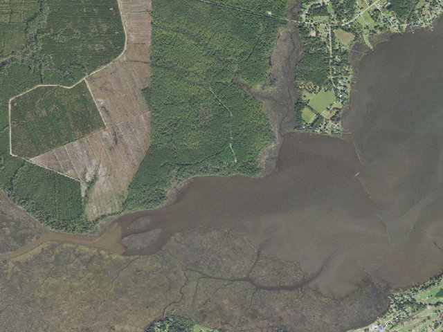 Aerial image of Oyster Point Campground