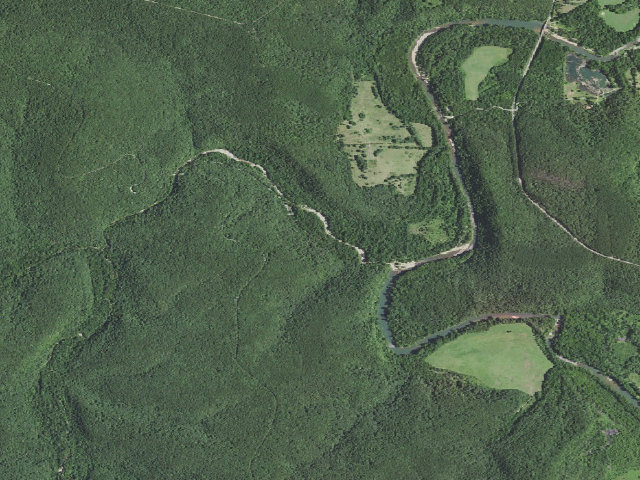 Aerial image of Paddy Creek