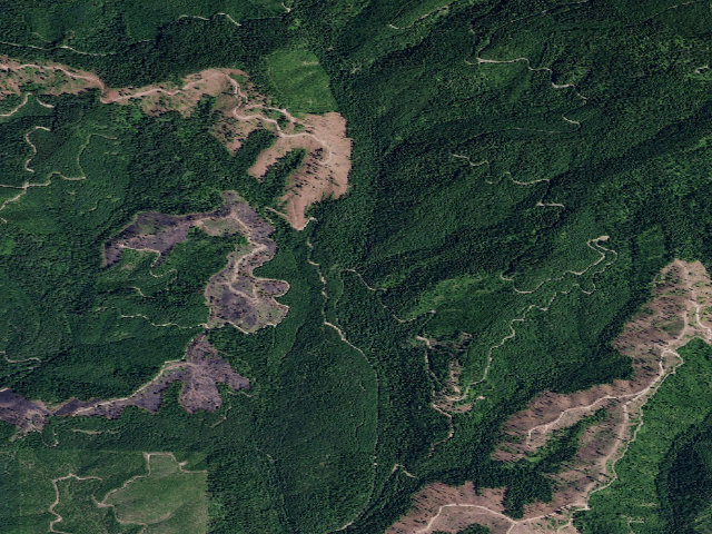 Aerial image of Pal1427Rd-002