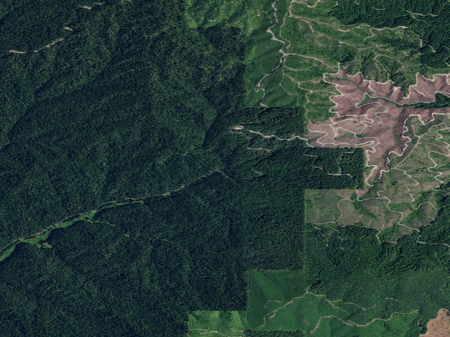 Aerial image of Pal1705Rd-004