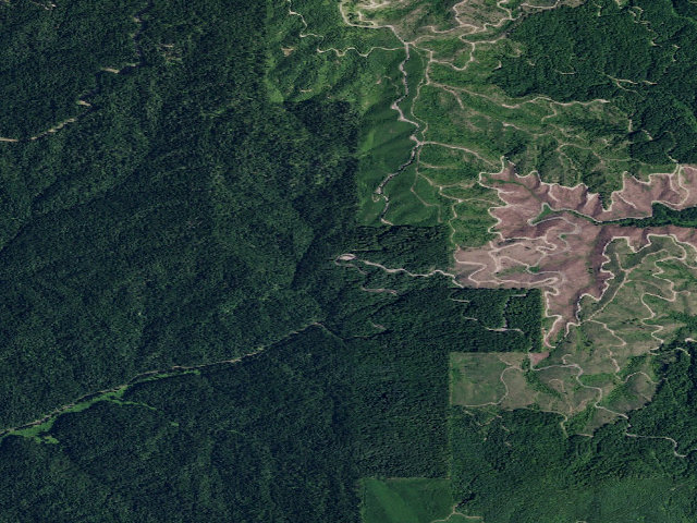 Aerial image of Pal1705Rd-005