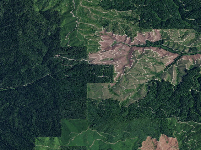 Aerial image of Pal1705Rd-006