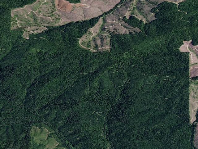 Aerial image of Pal1960Rd_01