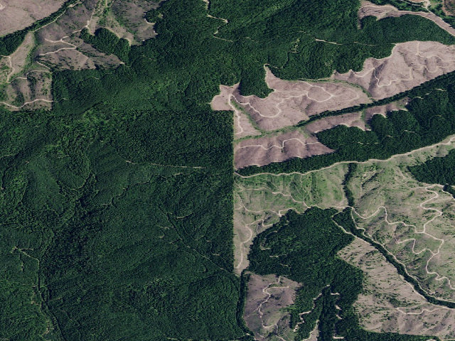 Aerial image of Pal1960Rd_02