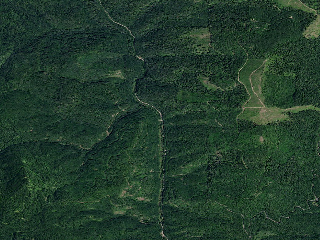 Aerial image of Pal3299Rd-001