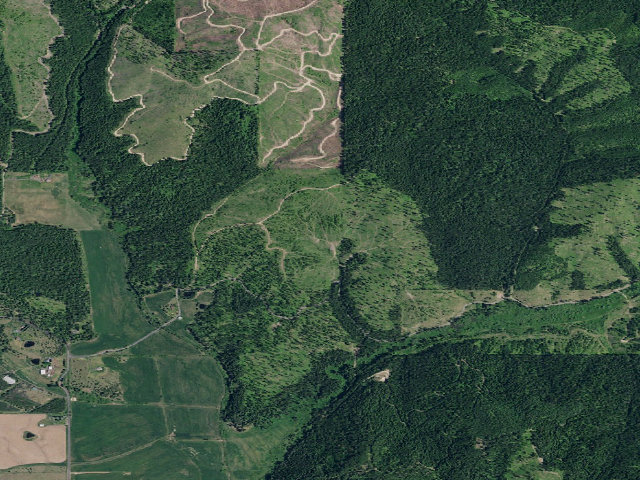 Aerial image of Pal3347Brd_01