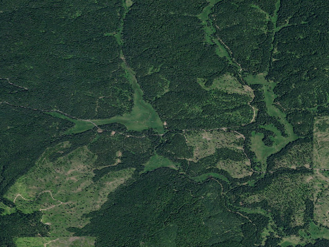 Aerial image of Pal3347Rd_04