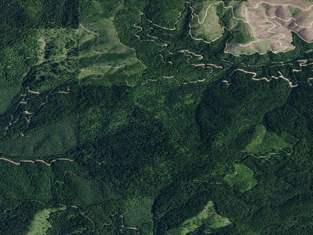 Aerial image of Pal370Rd_01