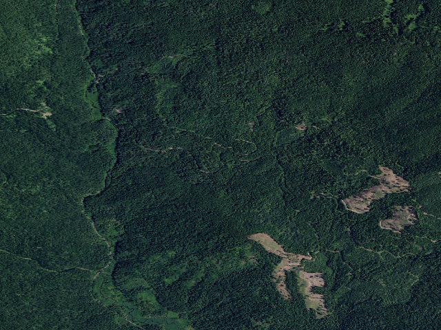 Aerial image of Pal3805Rd-001