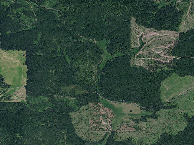 Aerial image of Pal3815Rd_01