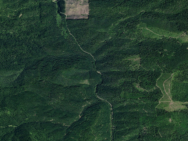 Aerial image of Pal381Crd-001