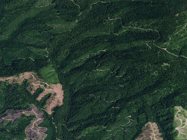 Aerial image of Pal4710Rd-001