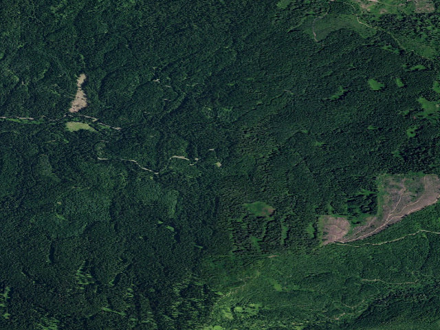 Aerial image of Pal4763Rd-028