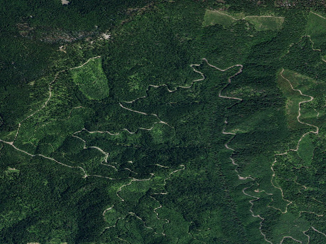 Aerial image of Pal820034Rd-001