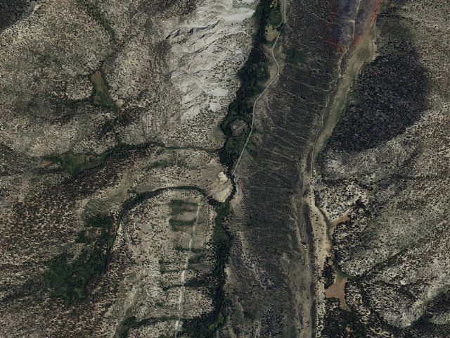 Aerial image of Palisade Cg