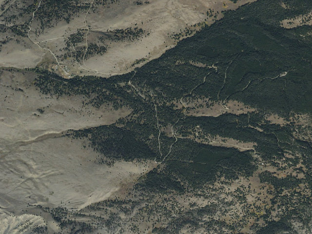 Aerial image of Palmer Mtn Road-004
