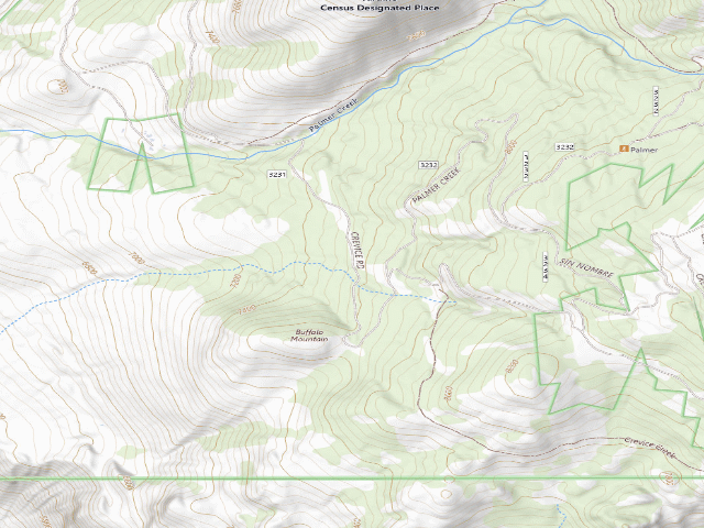 USGS topographic map of Palmer Mtn Road-005