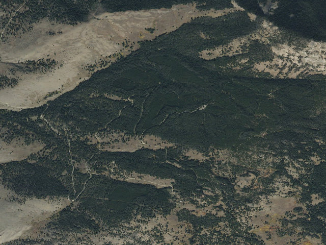 Aerial image of Palmer Mtn Road-009