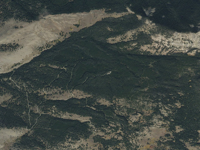 Aerial image of Palmer Mtn Road-011
