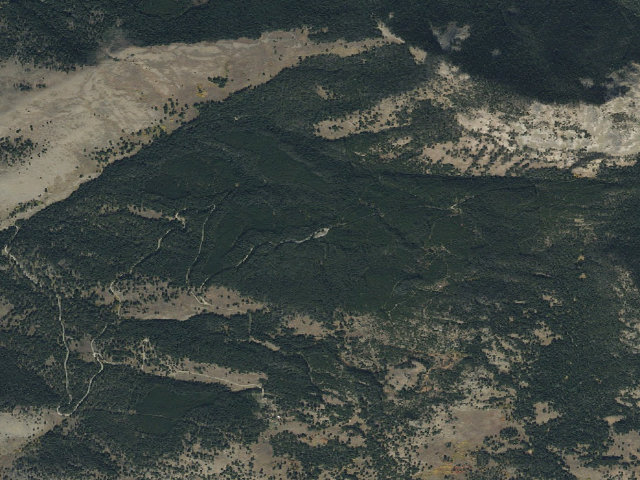 Aerial image of Palmer Mtn Road-012