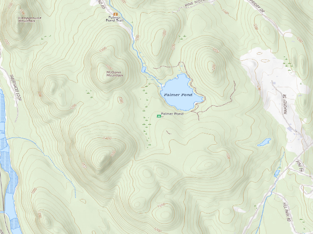 USGS topographic map of Palmer Pond Tent Site 1 (Lake George Wild Forest)