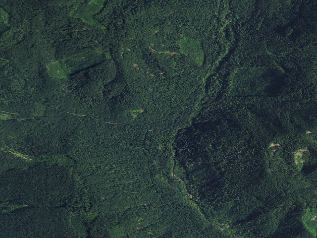 Aerial image of Panther Creek Cg