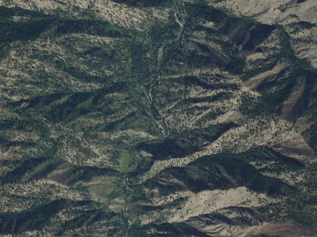 Aerial image of Paradise-004