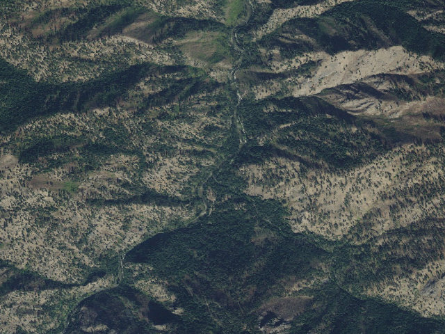 Aerial image of Paradise-005