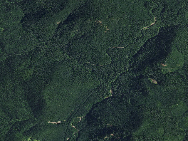 Aerial image of Paradise Creek Cg