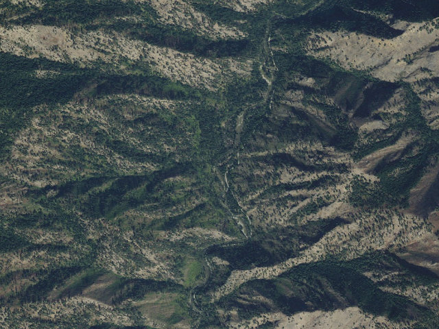 Aerial image of Paradise