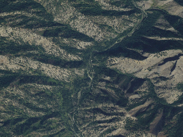 Aerial image of Paradise