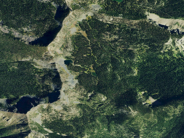 Aerial image of Paradise Lake Dispersed Site 12