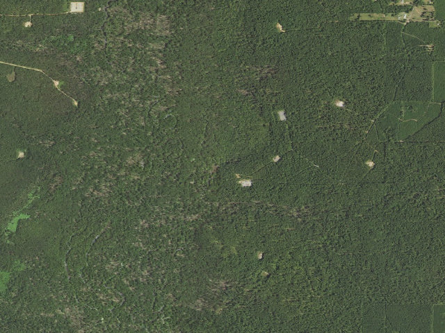 Aerial image of Pardee Calloway Primitive Camp