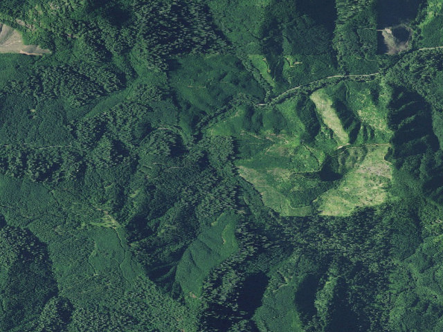 Aerial image of Park Creek Campground