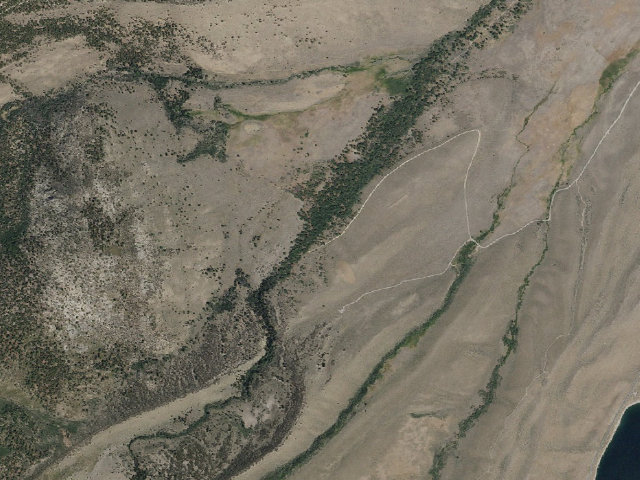 Aerial image of Parker Creek