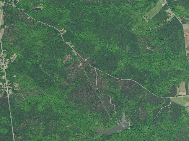 Aerial image of Parsons Mtn Lake