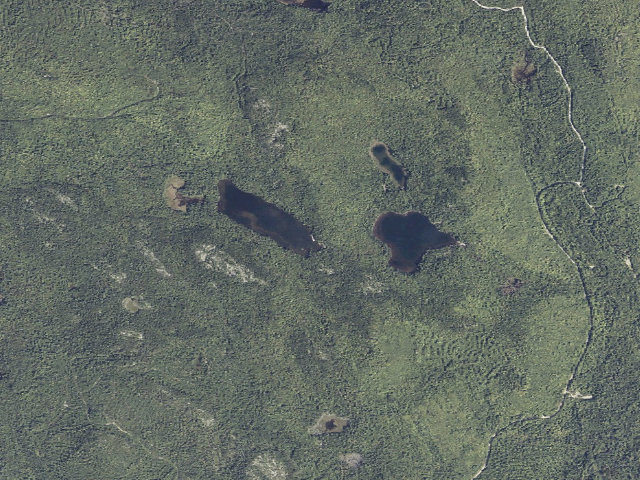 Aerial image of Partridge Pond (Amherst Mountains Community Forest)