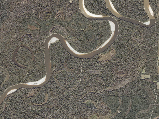 Aerial image of Pascagoula River WMA camp site 1