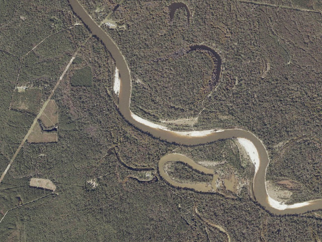 Aerial image of Pascagoula River WMA camp site 10